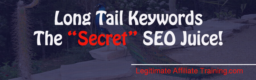 WHAT’S A LONG TAIL KEYWORD