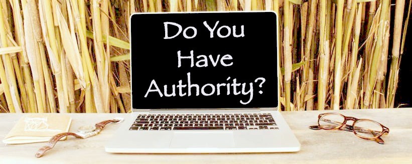 What Is An Authority Website? - Should You Care?
