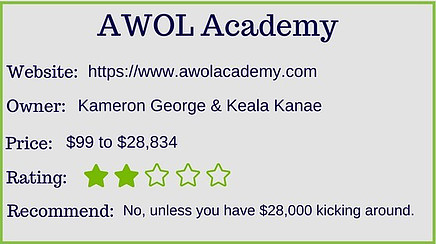 an awol academy review overall