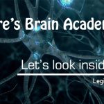 what is millionaires brain academy About?