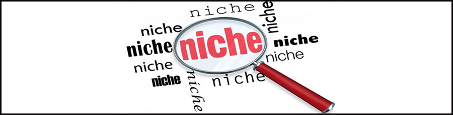 how to find your perfect niche